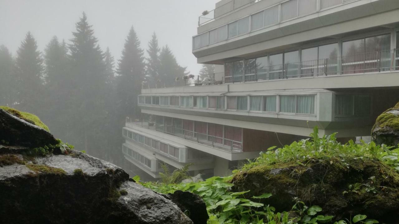 Appartamento Ventisei - Cipat 22114 Marilleva Exterior foto